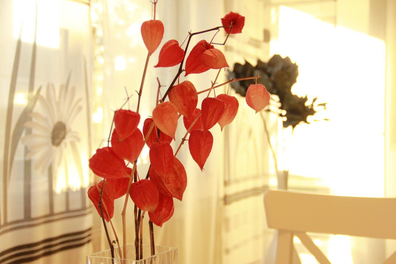 Ferienwohnung Klimek 미헬슈타트 외부 사진